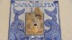 161_albufeira