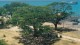 forodhani_gardens