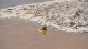 0295_badwater_basin