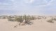 0423_sand_dunes