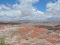 0609_petrified_forest