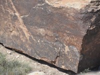 0664_petrified_forest