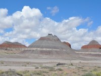 0672_petrified_forest
