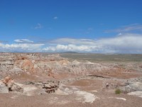 0676_petrified_forest