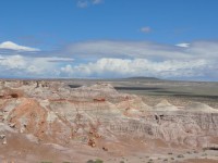 0688_petrified_forest