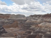 0698_petrified_forest