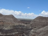 0699_petrified_forest