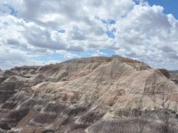 0720_petrified_forest