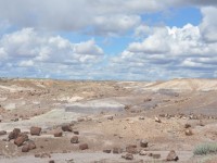 0744_petrified_forest