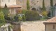 vaches_st_emilion