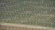 vignoble
