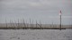 bassin_arcachon_2