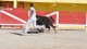 course_camarguaise_23