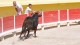 course_camarguaise_30