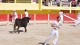 course_camarguaise_5