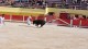 course_camarguaise_9