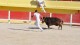 miralles_3