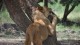 george_02