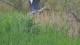 route_camargue_4