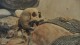 136_archeologie_maya