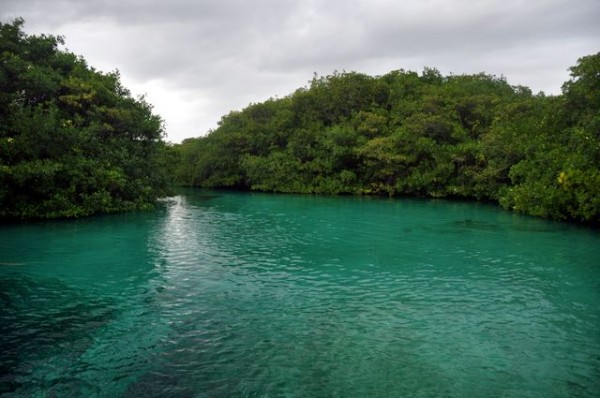 378_tulum_cenote