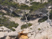 calanque_11