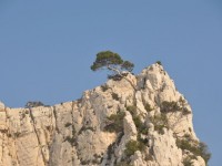 calanque_17