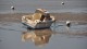 0027_chatelaillon_port