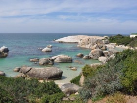 boulders_beach