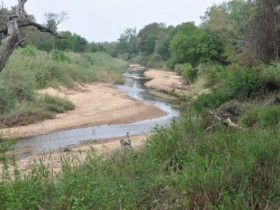 makutsi_river