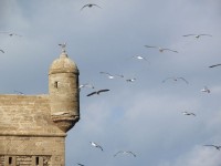 essaouira_3