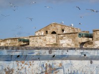 essaouira_4