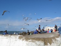 essaouira_5