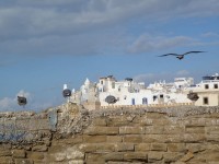 essaouira_6