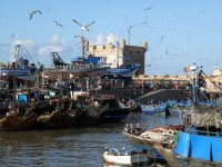 essaouira_8