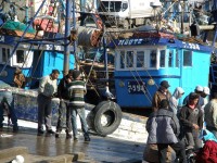 essaouira_peche_1