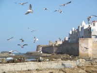 essaouira_remparts_1