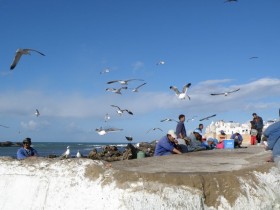 essaouira