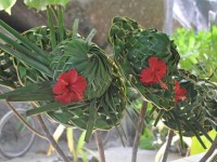 339_chapeaux
