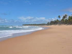 praia_do_forte