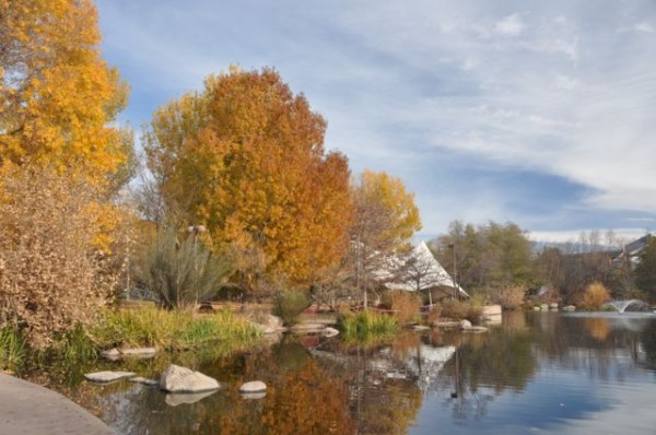 0508_albuquerque_biopark_botanic_garden