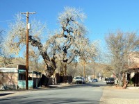 0751_cerrillos_turquoise_trail