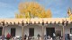 0768_santa_fe_palace_governors