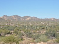 0998_goldfield_arizona