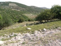 mar_elias_campagne_2