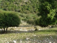 mar_elias_campagne_3