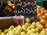 amman_etal_fruits_1