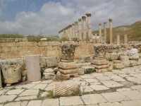 jerash_decumanus_sud