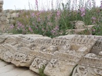 jerash_temple_zeus