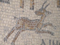 madaba_carte_detail_gazelle